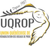 Logo UQROP
